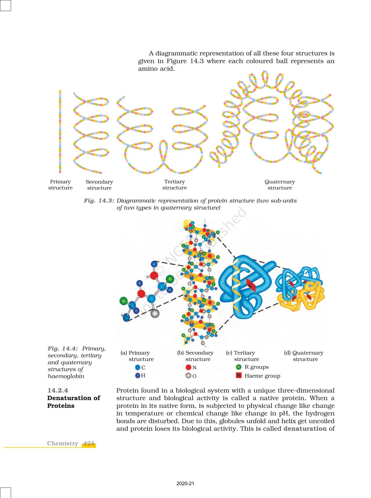 Biomolecules - NCERT Book Of Class 12 Chemistry Part II